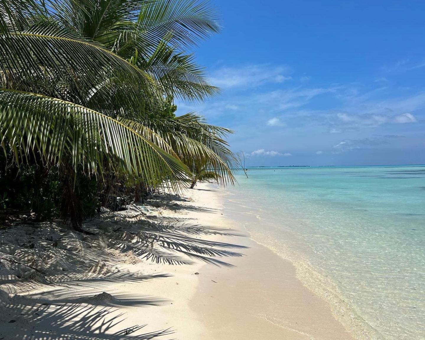 Heron Beach Hotel - The Best Maldivian Getaway In Dhiffushi,Maldives Экстерьер фото