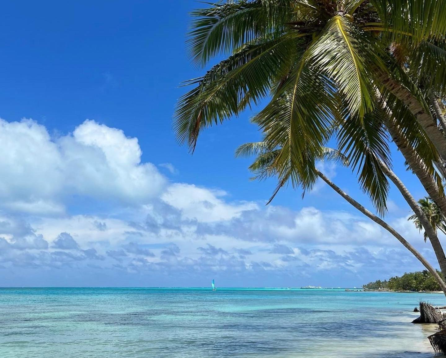 Heron Beach Hotel - The Best Maldivian Getaway In Dhiffushi,Maldives Экстерьер фото